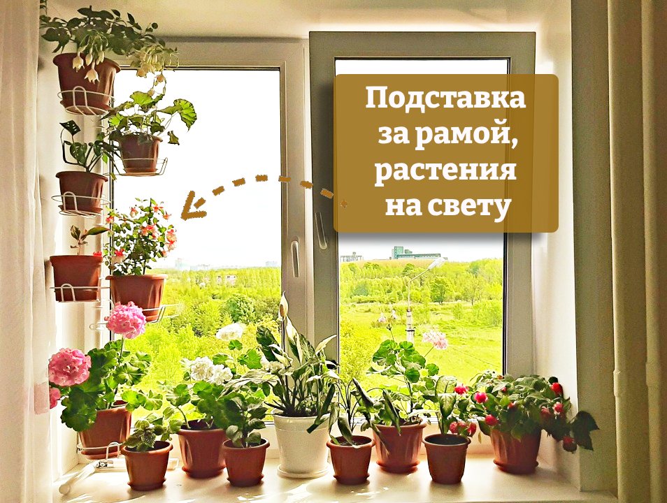 подставка на окно угловая металлическая с ножками. Фото N48