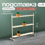 Кедр-мини на ножках 